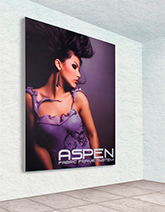 Aspen Graphic Frame