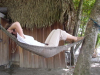 nat-hammock